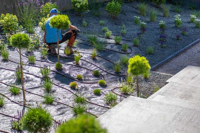 Landscaping
